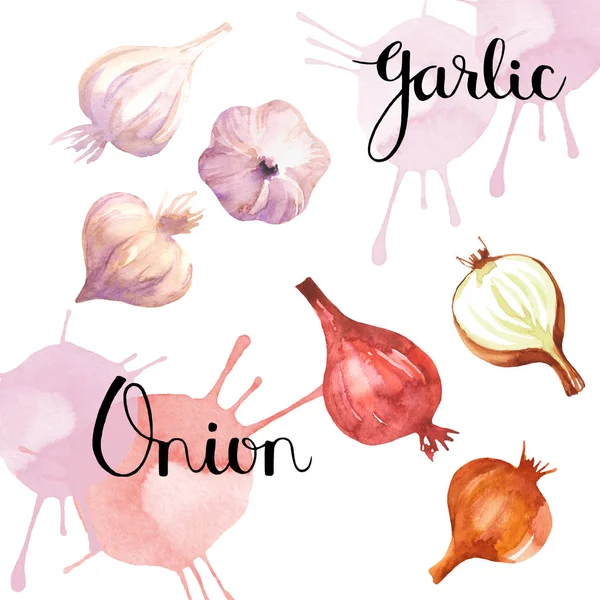 Food design with garlic — Stock Photo, Image