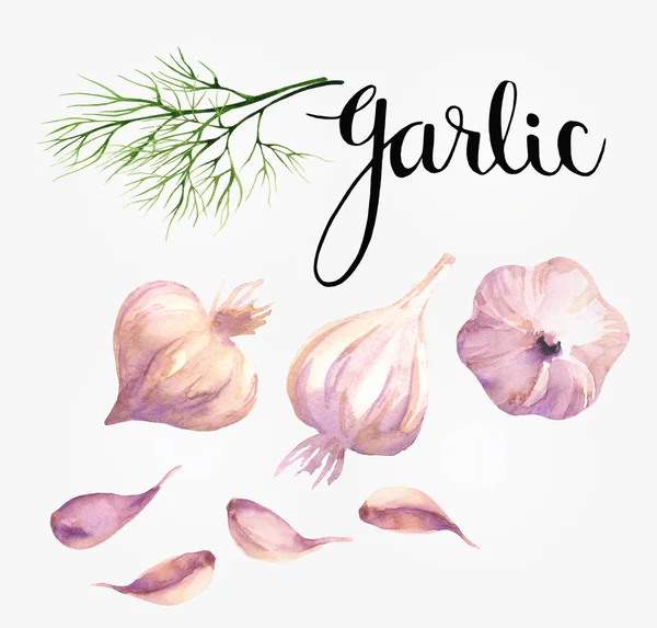 Food design with garlic — Stock Photo, Image