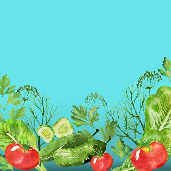Designuppsättning, dill, persilja, tomater, sallad och gurka i akvarell stil. Vegetabiliska bakgrunden på turkos — Stockfoto