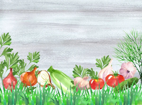 Diseño conjunto de eneldo, perejil, tomates, cebolla, ajo y pepinos en estilo acuarela. Fondo vegetal sobre textura de madera con hierba —  Fotos de Stock