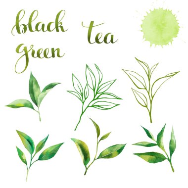 çay yaprakları ile ayarla tasarım