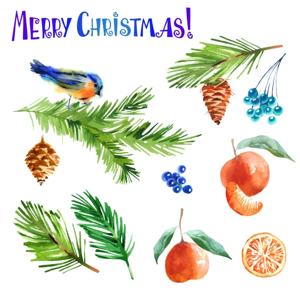 クリスマス デザイン セット マンダリン タンジェリンのスライス 鳥と水彩画とクリスマスの枝の分離の白い背景 クリスマス手描きフォント — ストック写真