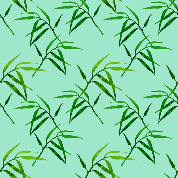 Motif Floral Sans Couture Avec Branche Bambou Sur Fond Vert — Photo