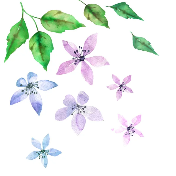 Spring Design Set Purple Flowers Green Leaves Hand Drawn Watercolor — Stock Photo, Image