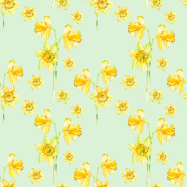 Sarı narsisli suluboya çiçekli, pürüzsüz bir desen. Bahar çiçeği arkaplanı. El çizimi resim