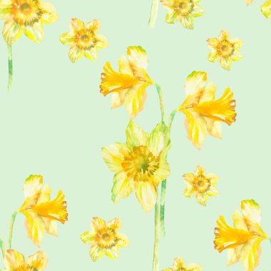 Sarı narsisli suluboya çiçekli, pürüzsüz bir desen. Bahar çiçeği arkaplanı. El çizimi resim