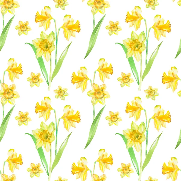 Floral Seamless Pattern Yellow Narcissus Watercolor Spring Floral Background Hand — 스톡 사진