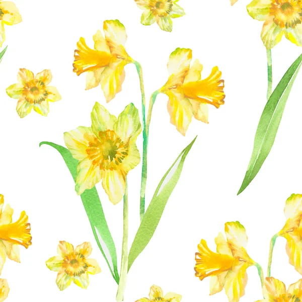Bloemen Naadloos Patroon Met Gele Narcis Aquarel Voorjaar Bloemen Achtergrond — Stockfoto