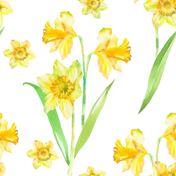 Floral Seamless Pattern Yellow Narcissus Watercolor Spring Floral Background Hand — 스톡 사진