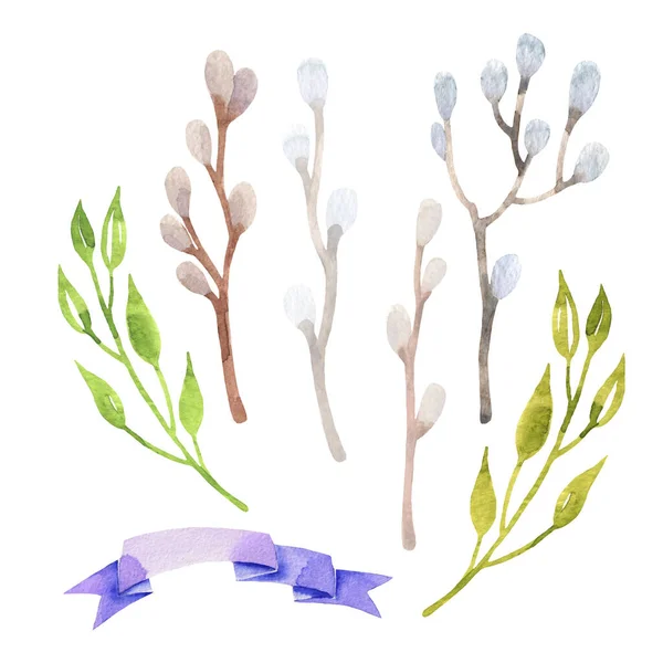 Easter Willow Set Watercolor Hand Drawn Leaves Branches Easter Design — Stock Photo, Image