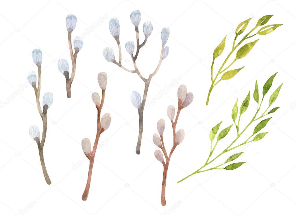 Easter willow set watercolor. Hand drawn leaves and branches. Easter design elements isolated on white background.