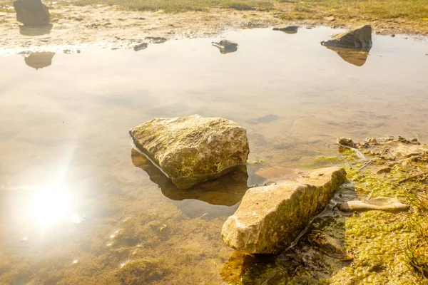 England, UK on a spring morning. Rocks and pools on sandy beach. — Stock Photo, Image