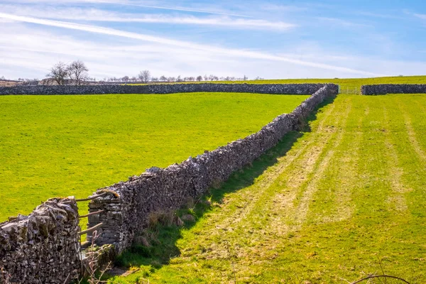 Lake District, Cumbria sabah ışık aydınlatıcı geleneksel kuru taş duvar. — Stok fotoğraf