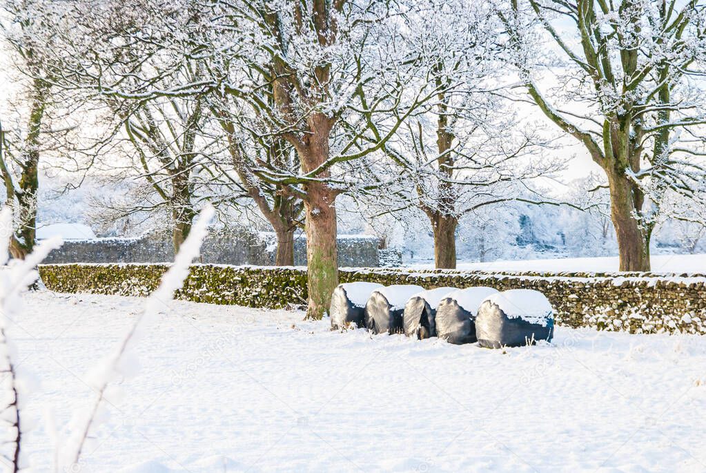 snow covered field in winter with four silage bales,trees and stone wall UK