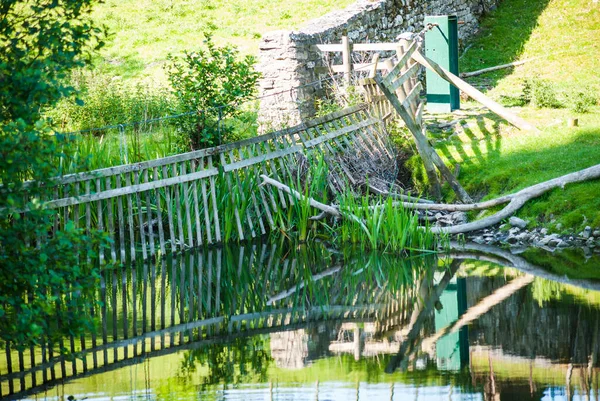 Puertas Ciervos Río Bela Dallam Park Reino Unido —  Fotos de Stock
