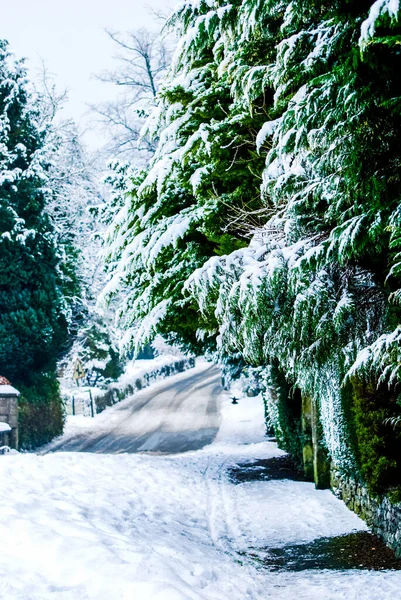 Snowy Road Através Uma Paisagem Lake District Inverno Reino Unido — Fotografia de Stock