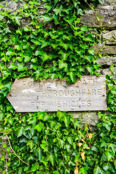 Rustic wooden Public Footpath sign half covered by green ivy UK