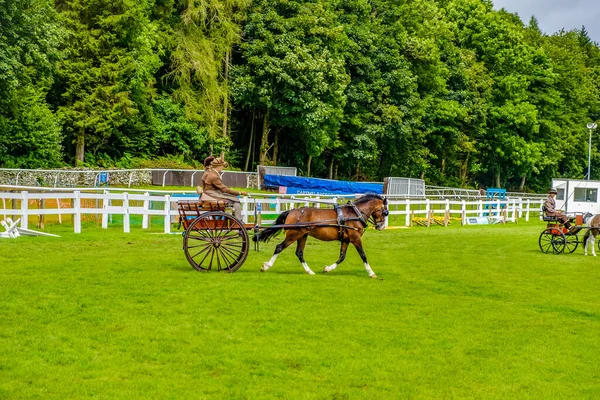 Inglaterra Cartmel Agosto 2016 Competidores Participam Trap Driving Evento Equestre — Fotografia de Stock