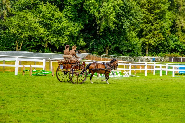 Inglaterra Cartmel Agosto 2016 Competidores Participam Trap Driving Evento Equestre — Fotografia de Stock