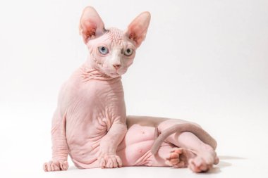 Dünyayı farklı gözle bir bakışta