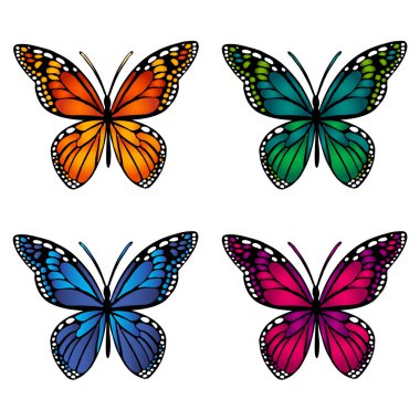 Beyaz arka plan üzerinde renkli kelebekler