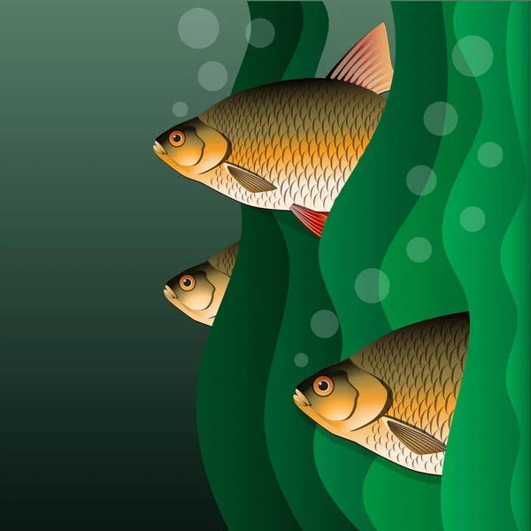 Les Redfins affluent. Les poissons n'ont pas d'algues. Sous l'eau . — Image vectorielle