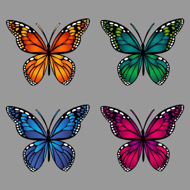 gri arka plan üzerinde renkli kelebekler