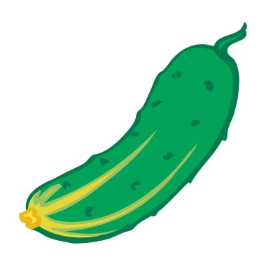 Salatalık. Yalıtılmış nesne. Vektör görüntü.