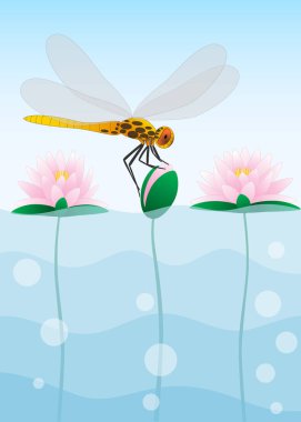 Nilüfer üzerinde oturan yusufçuk.