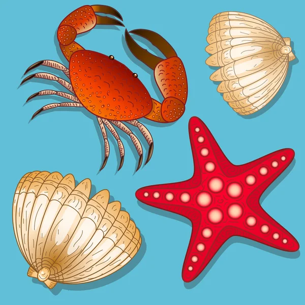 Conjunto de habitantes marinhos. Caranguejo, estrela do mar e concha. Objetos isolados — Vetor de Stock