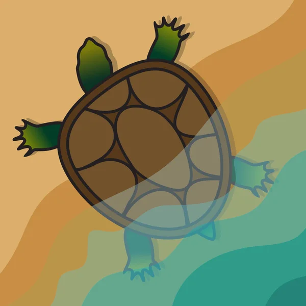 Schildkröte, die am Ufer aus dem Wasser steigt. Vektorbild. — Stockvektor