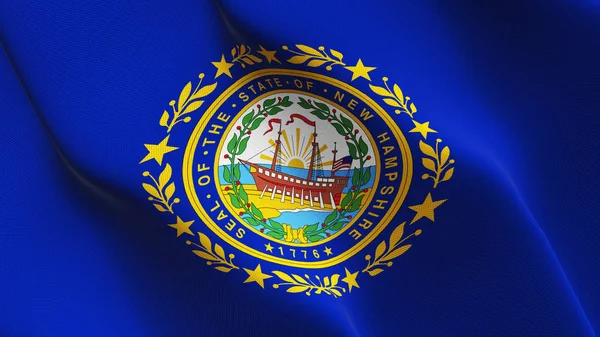 Bize New Hampshire Devlet bayrağı sallayarak döngü. Amerika Birleşik Devletleri New Hampshire gerçekçi bayrak kumaş dokulu üzerinde rüzgar esiyor.