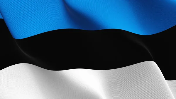 Bandera Estonia Ondeando Bucle Bandera Realista Estonia Con Textura Tela — Foto de Stock