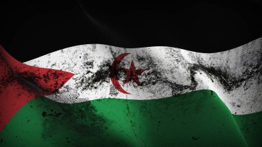 Sahra Arap Demokratik Cumhuriyeti grunge bayrak sallayarak döngü. Sahra kirli gerçekçi bayrak kumaş dokulu üzerinde rüzgar esiyor.