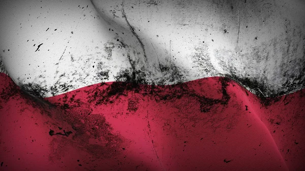 Polonya grunge bayrak sallayarak döngü. Lehçe kirli gerçekçi bayrak kumaş dokulu üzerinde rüzgar esiyor.