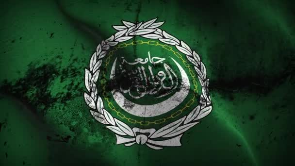 Arabische Liga Grunge Vlag Zwaaien Lus Arabische Liga Vuile Vlag — Stockvideo