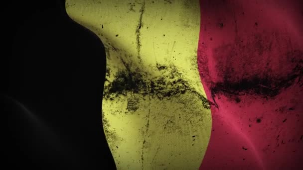 Σημαία Του Βελγίου Κυματίζει Βρόχο Βελγική Βρώμικη Σημαία Φυσάει Στον — Αρχείο Βίντεο