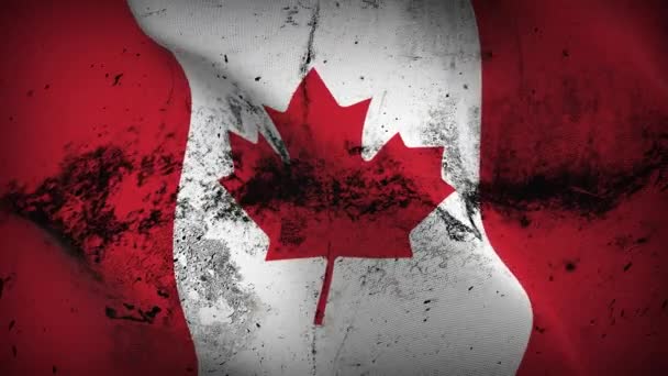 カナダのグランジフラグループ手を振る 風で吹くカナダの汚れた旗 — ストック動画