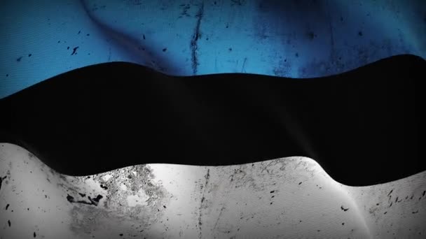 Estland Grunge Flagga Viftande Loop Estniska Smutsiga Flagga Som Blåser — Stockvideo