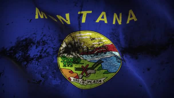 Montana State Grunge Flag Waving Loop United States America Montana — Stock Video