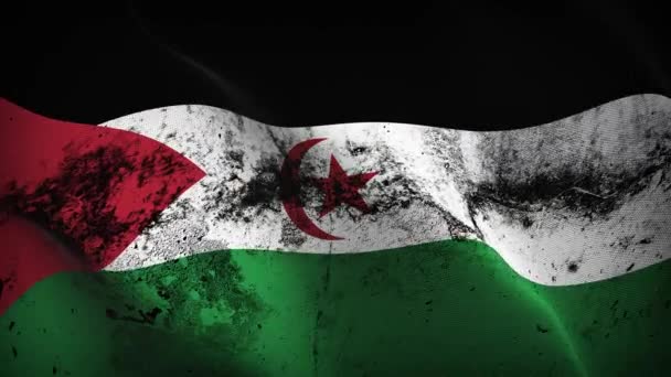 Repubblica Democratica Araba Sahrawi Sventola Bandiera Sventolando Loop Sahrawi Bandiera — Video Stock
