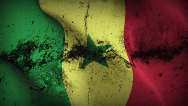 Senegal Grunge Bayrak Sallama Döngüsü Senegal Kirli Bayrağı Rüzgarda Dalgalanıyor — Stok video