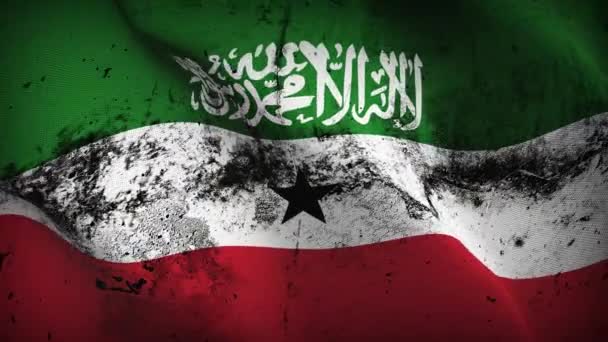 Somaliland Grunge Flag Waving Loop Somaliland Dirty Flag Blowing Wind — Stockvideo