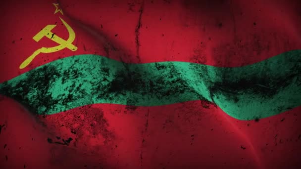 Transnistria Grunge Flag Waving Loop Transnistrian Dirty Flag Blowing Wind — Stock Video