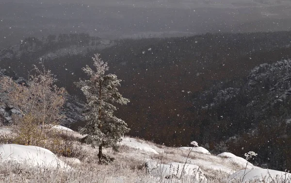 Snöfall i bergen — Stockfoto