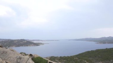 Ayı Rock Sardunya görüntülemek. 