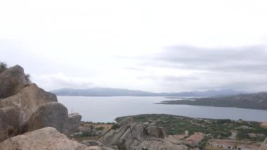 Ayı Rock Sardunya görüntülemek.
