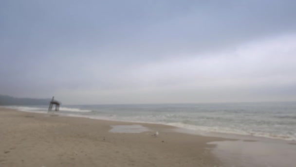 Paisagem marítima do Báltico. Linha costeira do mar Báltico. Praia durante o dia nublado . — Vídeo de Stock