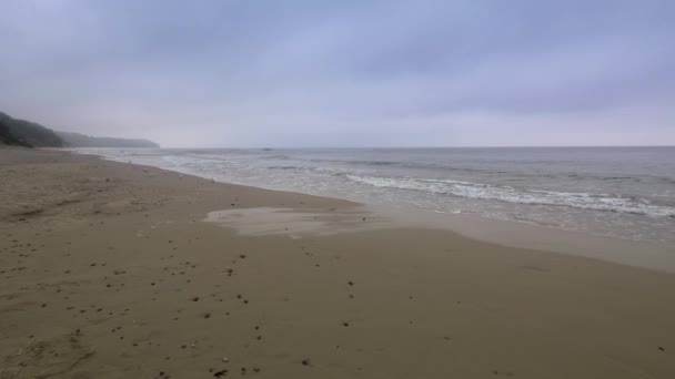 Mar Báltico paisaje. Línea costera del mar Báltico. Playa durante el día nublado . — Vídeos de Stock