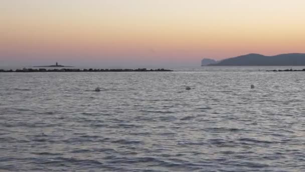 Alghero sahilde günbatımı. Sahilde yürüyüş insanlar. — Stok video